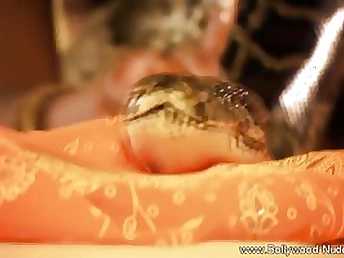 Exotic oriental nubile gets her puffies swell from playing with her humungous pet snake on the sofa