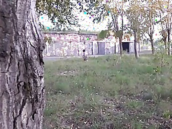 Insatiable girl wearing a microskirt flashing her cunt in public