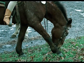 Justine A Matter be beneficial to Abstinence