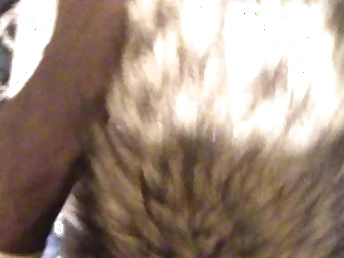 Deuce Tail Rear Do away with Plumbing Ginger Teen Goal Of Sight (SHE LUVS IT) ;)